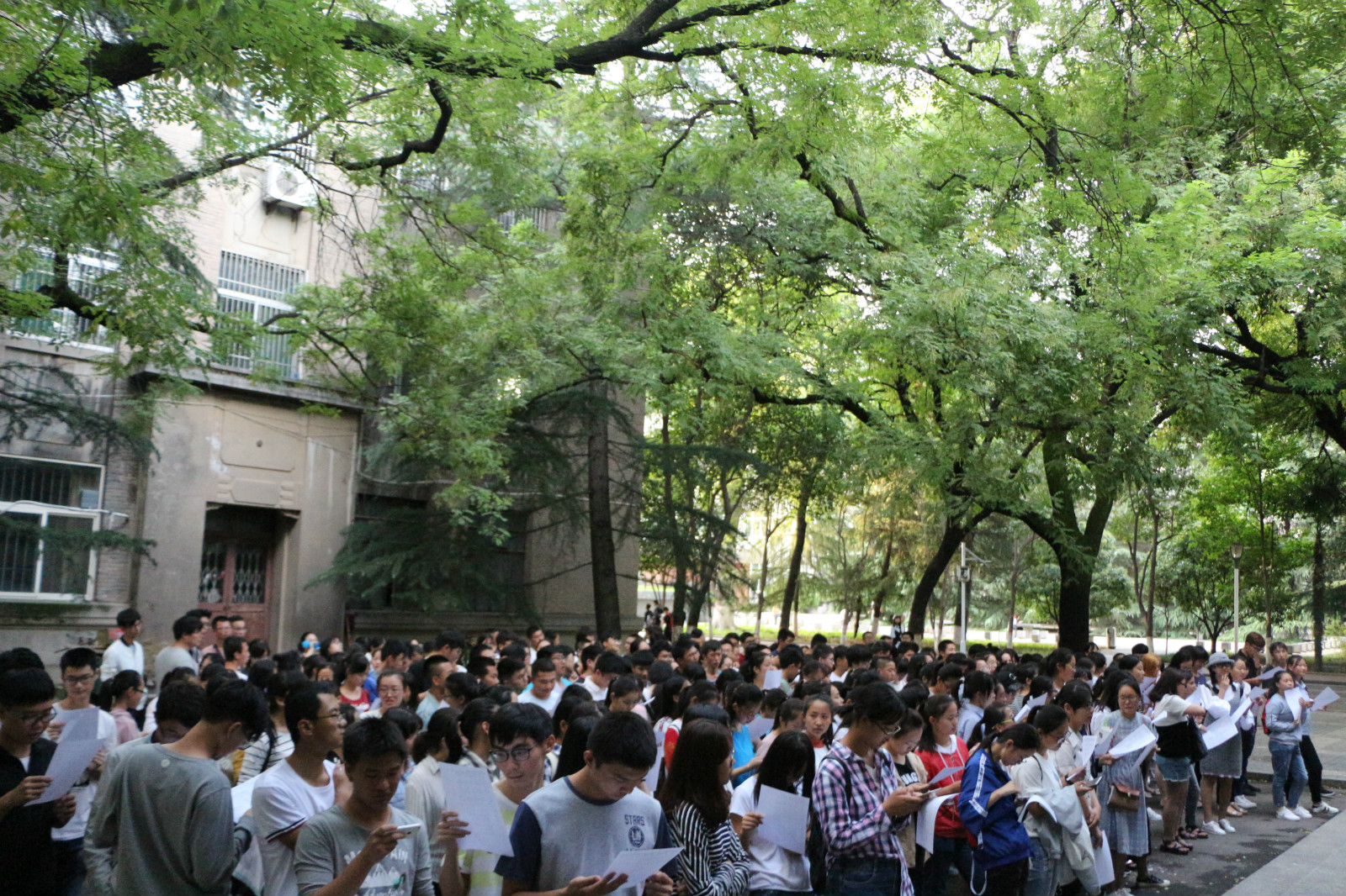 IMG_9267_meitu_3.jpg IMG_9267_meitu_3.jpg